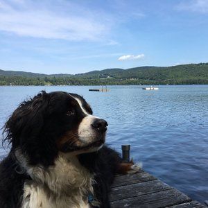 Meet your Posher, MJ